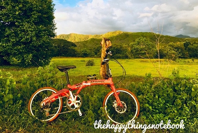 bicycle in a meadow